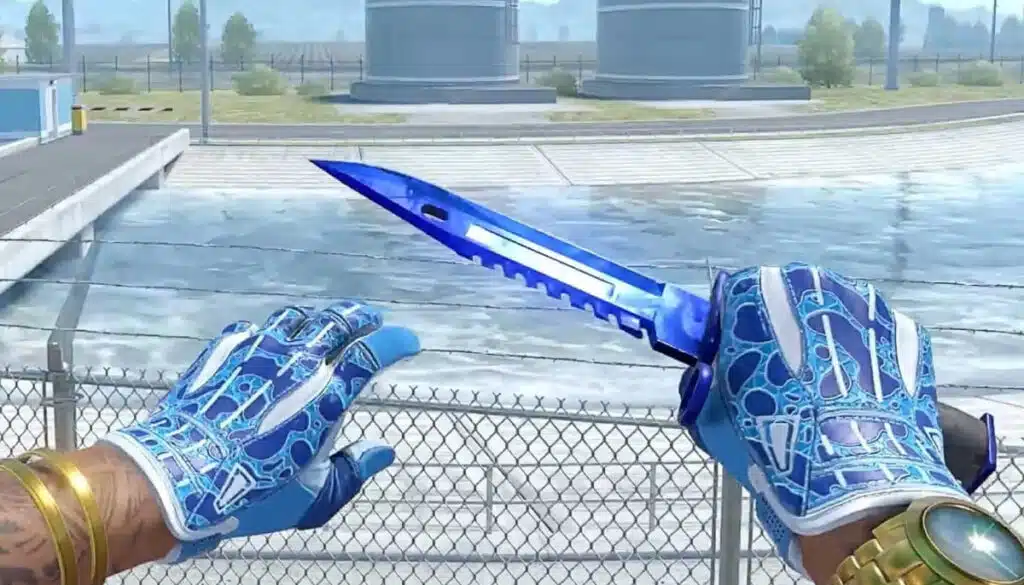 CS2最昂贵库存Top10 | 2025名单与估值 | 稀有皮肤、贴纸与刀具