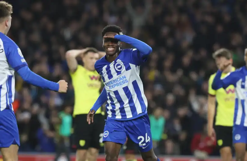 从球迷到13亿身价 | 英超布莱顿老板的财富、创业、赌博之路