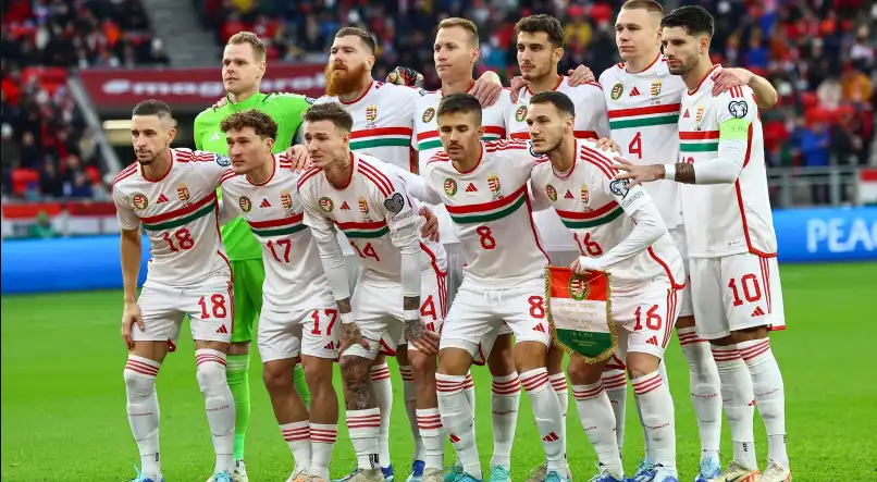 世预赛欧洲区｜匈牙利 vs 爱尔兰 ｜小组形势、实力解析、赔率动向及投注指南