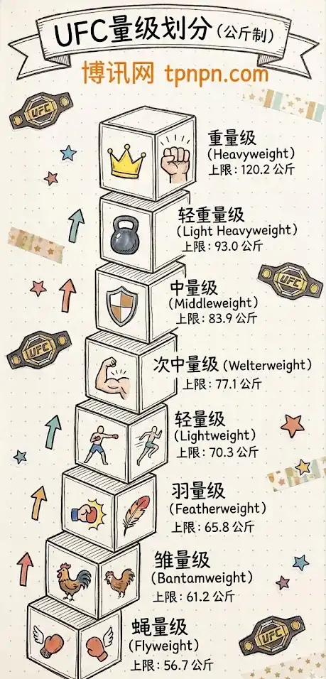 UFC量级划分-男子各量级