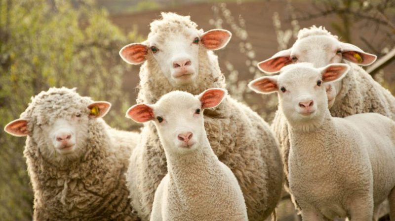 赌博平台漏洞套利