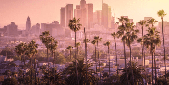 美国加州的在线体育博彩合法化获得了160万支持者的签名