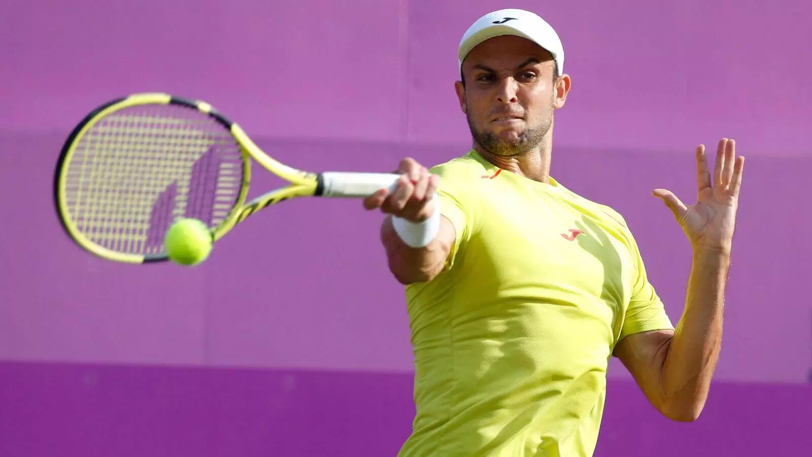 周四网球最佳投注,ATP索非亚站，亚历山大-武奇vs费尔南多-维达斯科