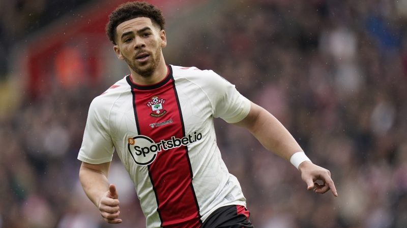 西汉姆vs南安普顿的赔率，推荐：圣徒在客场大放异彩（4月2日）