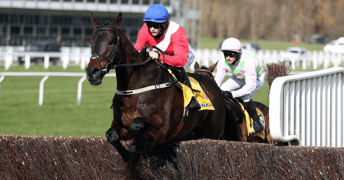 乔治王追逐赛投注技巧、赔率和分析