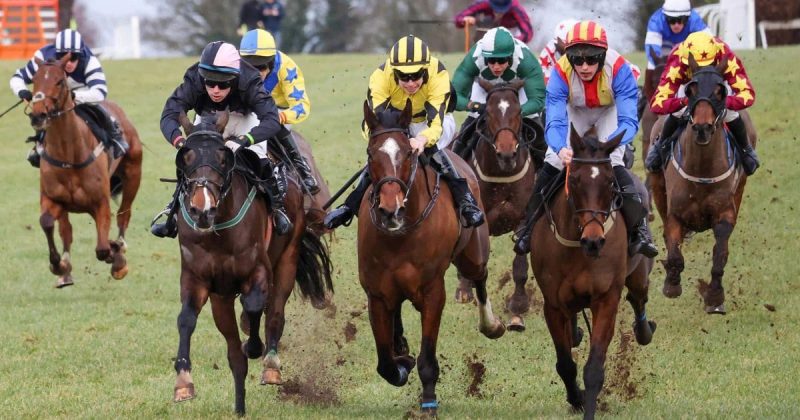 赛马技巧,今天的预测和坎普顿的最佳赌注