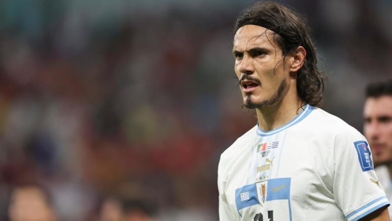 2022年世界杯乌拉圭对加纳的比赛开始时间，投注赔率，盘口,模型选择、FIFA预测、最佳投注