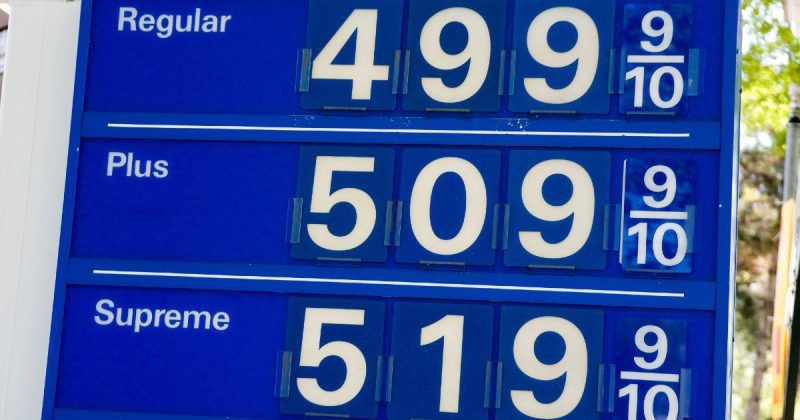 典型的在线博彩者对价格有多敏感