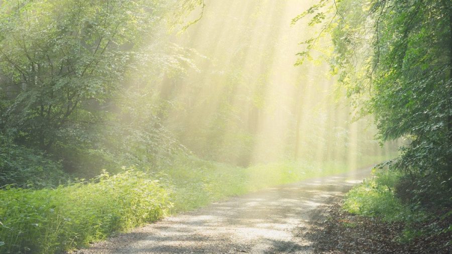 公平游戏赌场为MGA游戏在荷兰的首次亮相扫清了道路