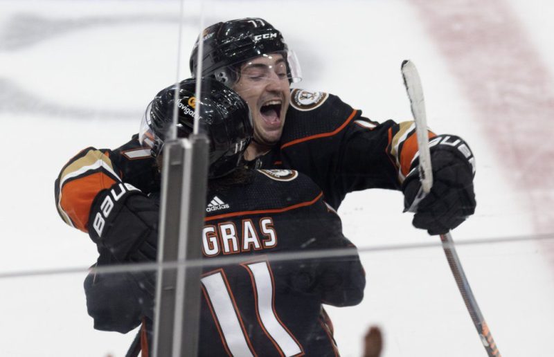 鸭子对鲨鱼的赔率和推荐 – 平博体育上的NHL最佳投注