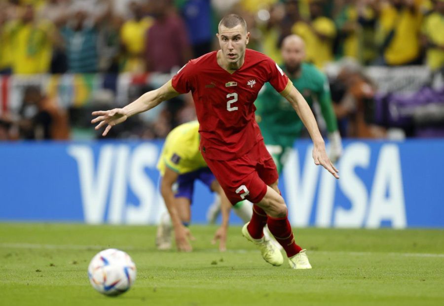 喀麦隆VS塞尔维亚赔率和预测 – 世界杯G组（11月28日）