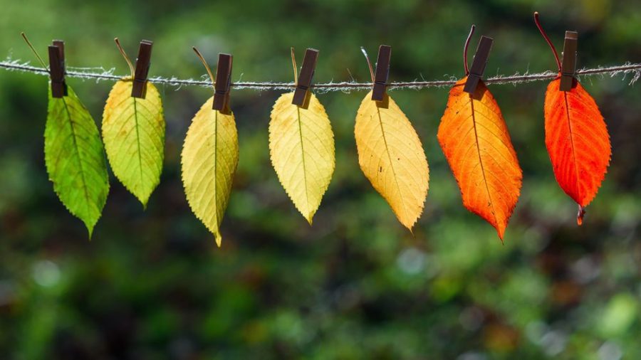 B实验室欢迎Gamban加入 “致力于变革的公司运动