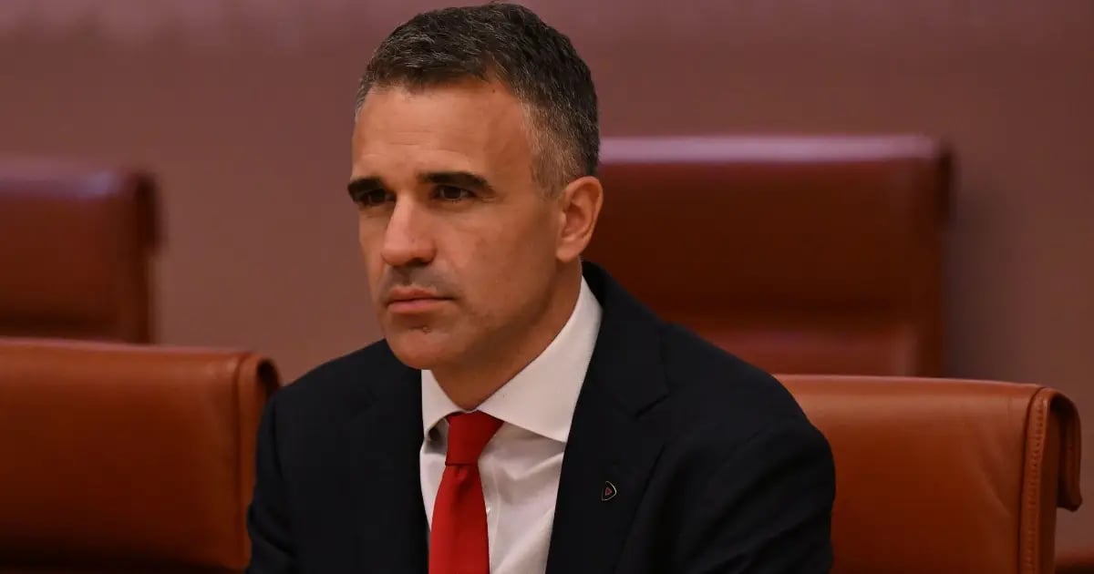 南澳州选举赔率 | 工党候选人马利纳乌斯卡斯有望大获全胜