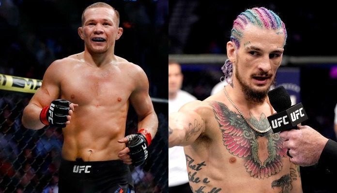 燕子,阿布扎比是粉碎奥马利的最佳地点