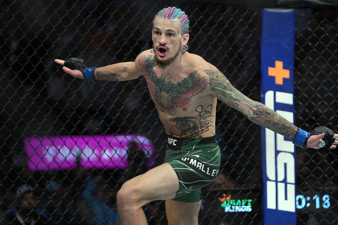 UFC 280: 肖恩-奥马利对佩特-扬的分析、预测和赔率