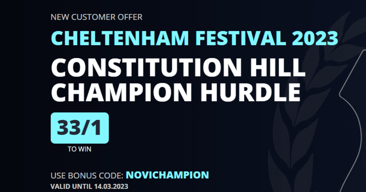 切尔滕纳姆投注优惠,支持宪法山以33/1的赔率在Novibet获胜