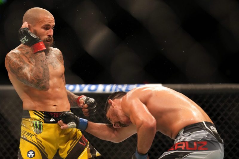 UFC on 平博体育 43推介--马龙-维拉VS科里-桑德哈根预测与赔率