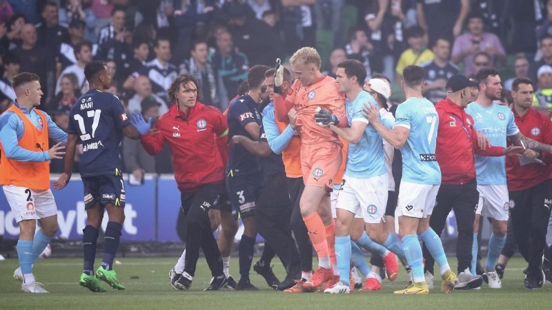 墨尔本德比暴力事件,澳大利亚足协谴责入侵者