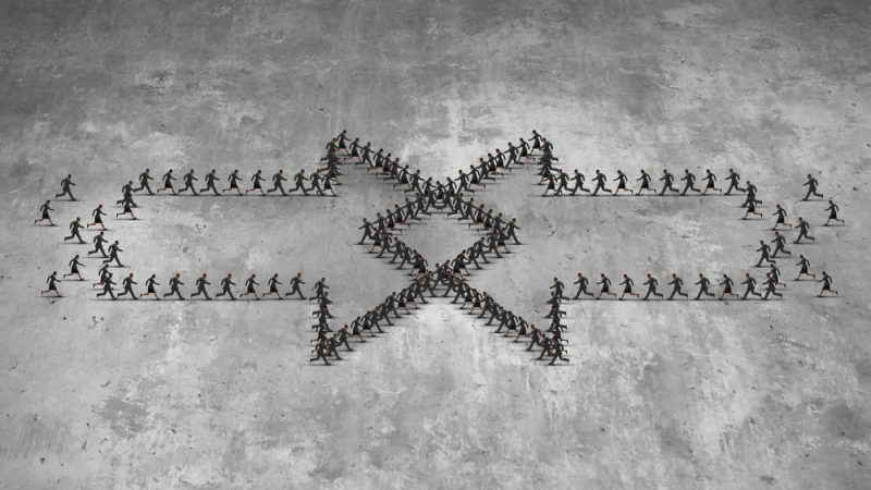 Rhino通过与Flows的整合对公司进行改革