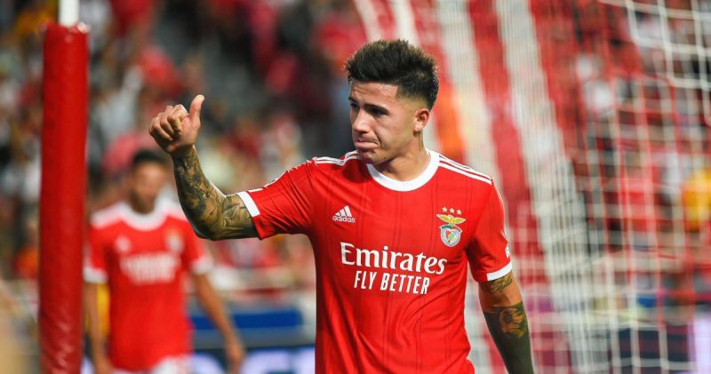 恩佐-费尔南德斯下家赔率：切尔西领衔追捧世界杯冠军