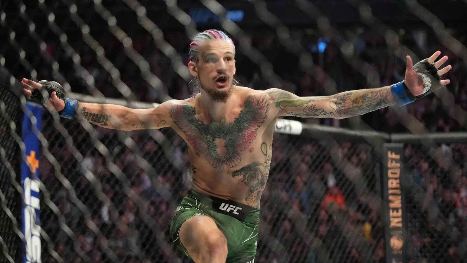 UFC280 彼得-扬 VS 肖恩-奥马利 最佳赌注
