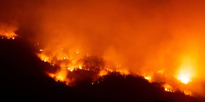 柬埔寨边境赌场发生火灾，造成至少16人死亡