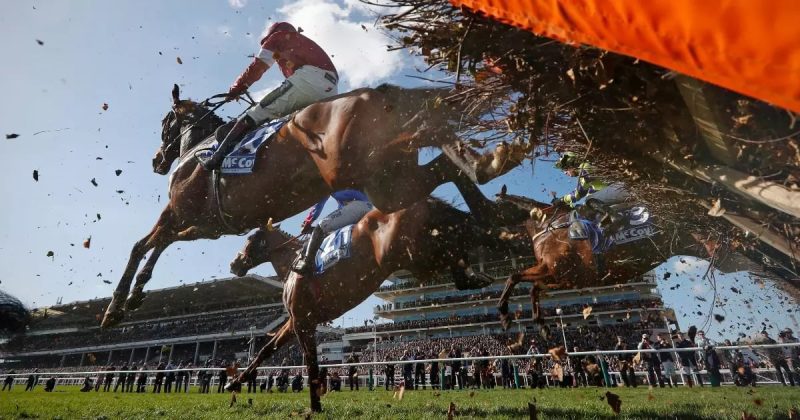 切尔滕纳姆技巧,第二天的最佳赌注