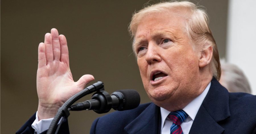 唐纳德-特朗普在2024年美国大选赔率中重新成为最受欢迎的人