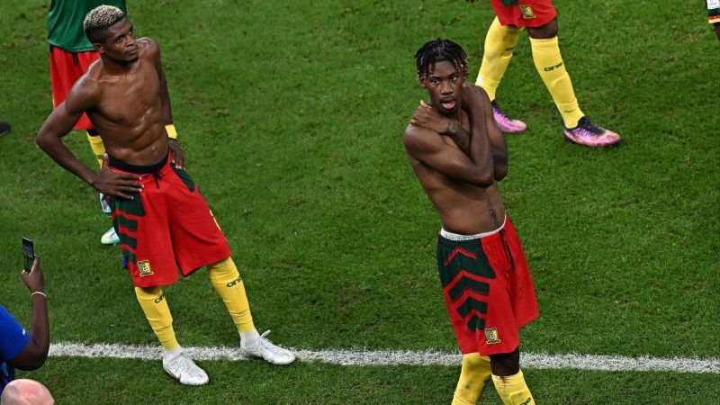 喀麦隆VS纳米比亚预测： 不屈不挠的雄狮将赢得这场比赛