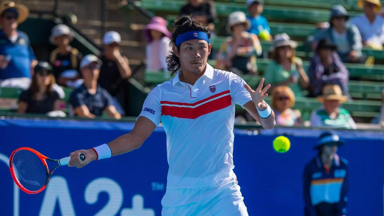 本-谢尔顿VS张志珍 最佳投注