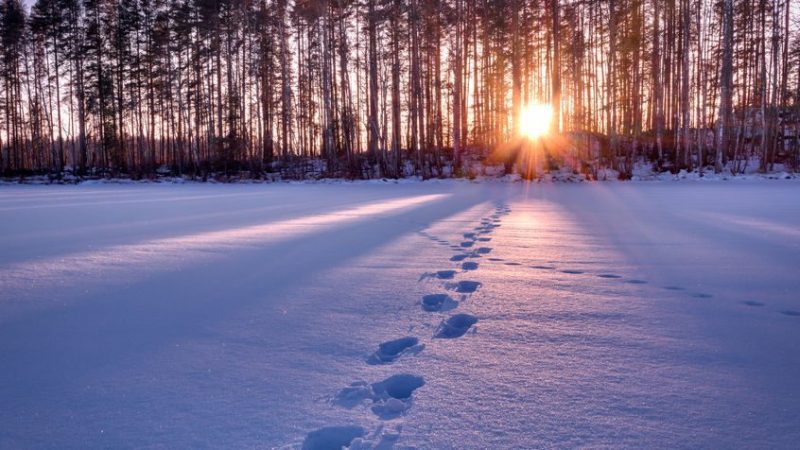 Pragmatic Play通过Partouche的Pasino.ch扩大了在瑞士的影响力