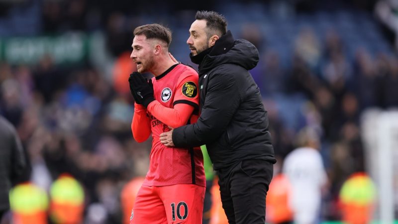 布莱顿和霍夫艾尔比恩对水晶宫的赔率，推荐：海鸥在英超联赛中飞翔