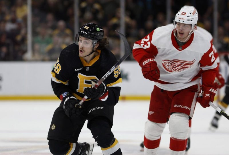 布鲁斯VS红翼的赔率和推荐 - 周日下午曲棍球的最佳投注