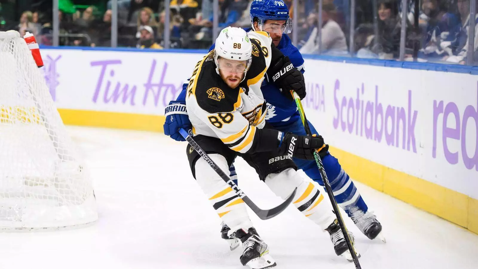 佛罗里达黑豹vs波士顿布鲁斯最佳投注