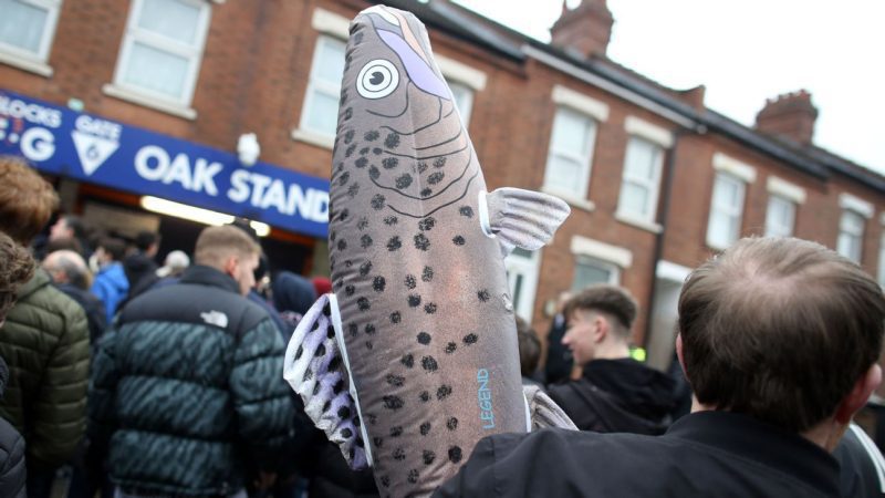 胡说八道! 鱼类吉祥物被禁止参加足总杯比赛