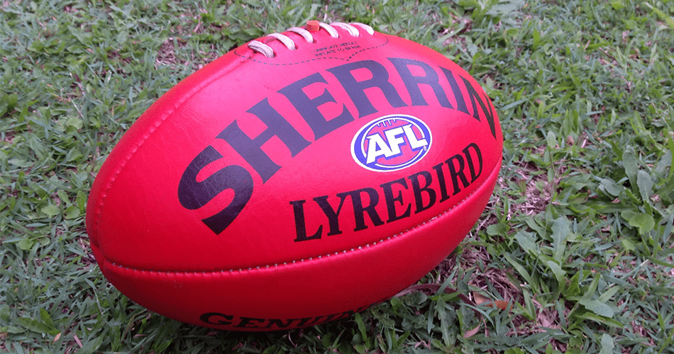 AFL裁判因与布朗罗奖牌投注有关而被逮捕的四人之一