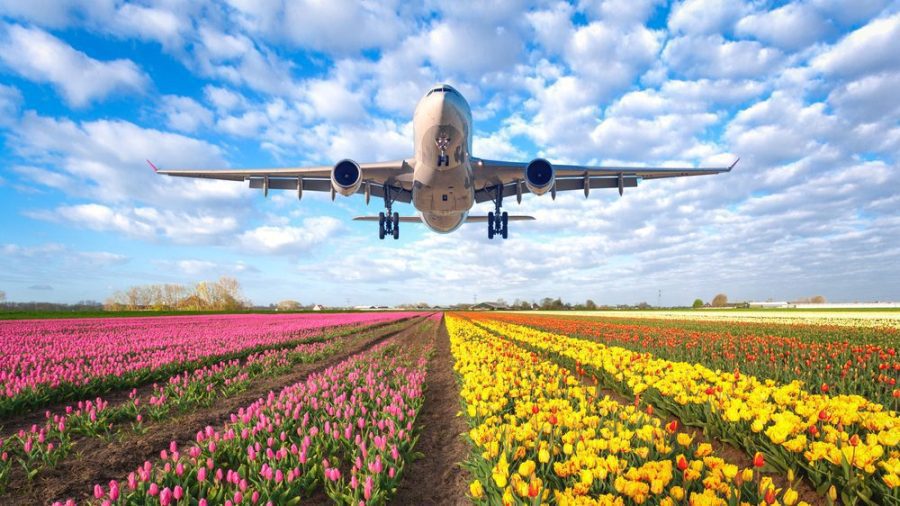 Kindred表示，尽管中期有矛盾，但荷兰的业务有了 “飞速的开始”