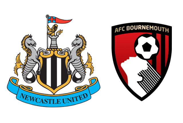 纽卡斯尔联队对阵伯恩茅斯 2/11/23 - 英超联赛的分析和预测