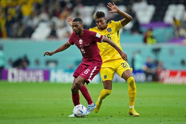 荷兰对阵卡塔尔 – 世界杯竞猜与预测