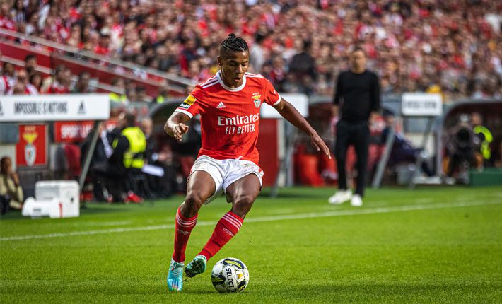 本菲卡将轻松战胜波尔蒂芒斯