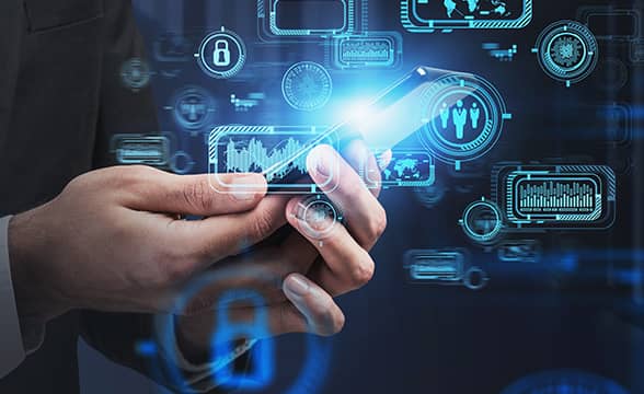 Root和Paradox推出 “博彩盈利 “计划