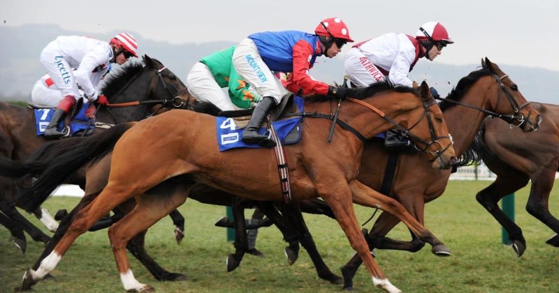 押注切尔滕纳姆,2023年赛马节上的最佳赛事