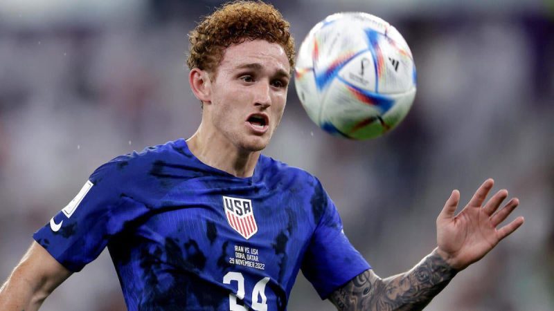 美国世界杯的伤病,如果克里斯蒂安-普利西奇、韦斯顿-麦肯尼、乔什-萨金特不能上场，美国国家队将求助于谁？