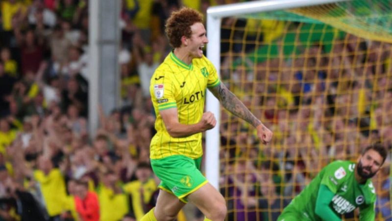 约什-萨金特在诺维奇城找到了自己的方式，因为他的职业生涯开始时受到了伤病的影响