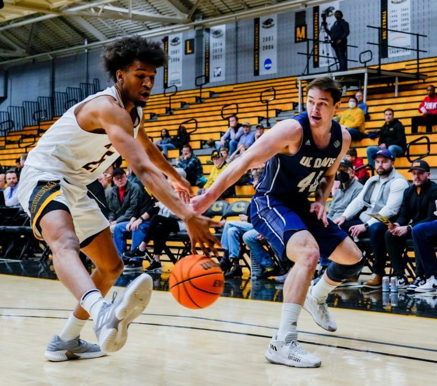 加州大学戴维斯分校对波士顿的赔率、预测和传播（11月28日）