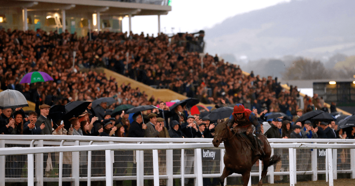 2023年切尔滕纳姆节,Facile Vega是本次会议的爱尔兰庄家吗？