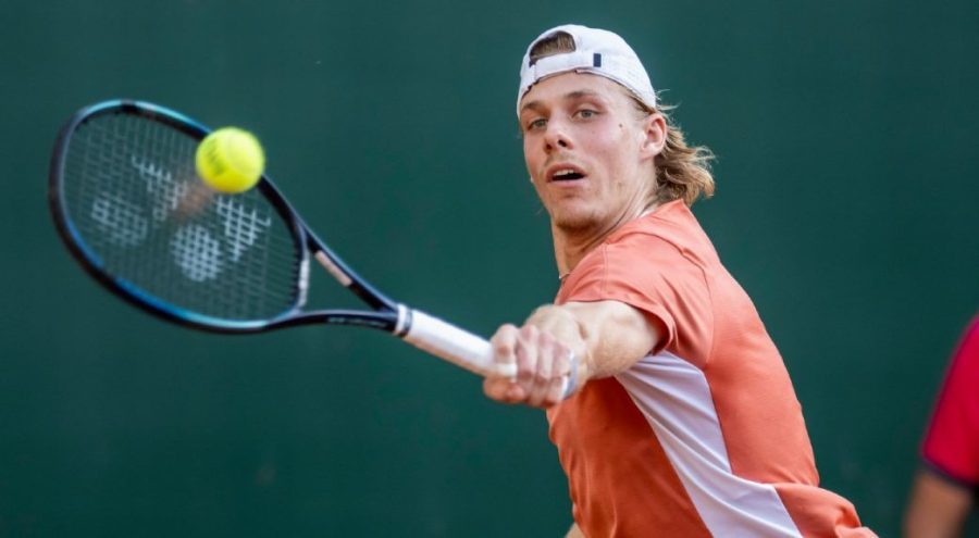 诺瓦克-德约科维奇对丹尼斯-沙波瓦洛夫的预测,难以预测的结果