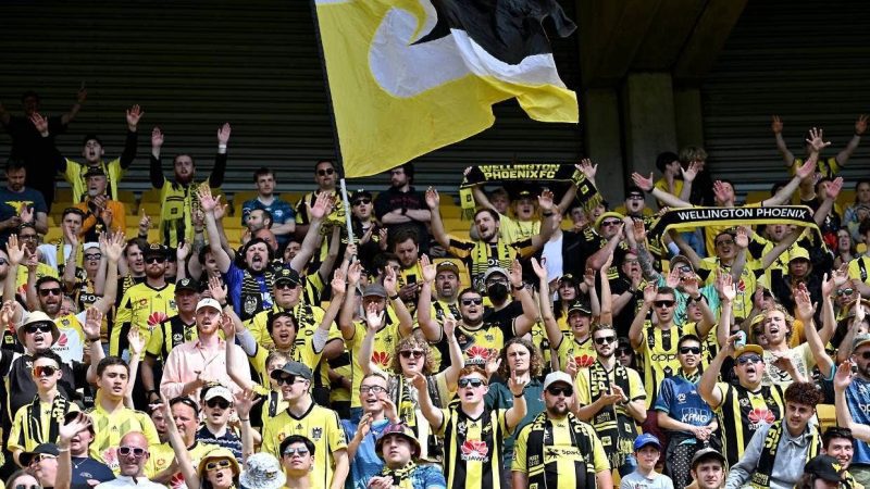 惠灵顿凤凰对西部联队的预测,主队预计将获得一场胜利，以帮助他们保持目前的状态