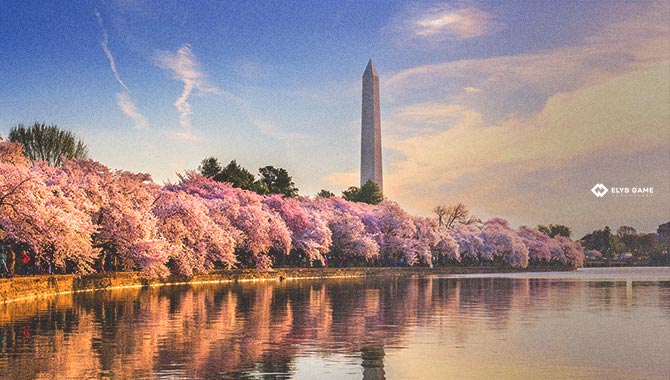 Elys公司在华盛顿特区的Ozio Lounge体育博彩获得批准