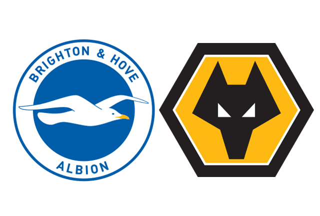 布莱顿和霍夫艾尔比恩对阵伍尔弗汉普顿–英超联赛的分析和预测